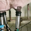 서현숲 가정의학과의원 이미지