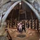 구석기체험숲3 이미지