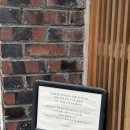 추카추카 | 광주 돈가스 맛집, 동명동 유미노덴 히야시추카 내돈내산 후기