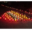 새바라기 이미지