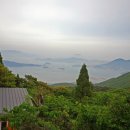 완도수목원 조선일보