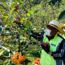 모곡마을 이미지