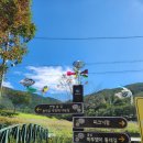 쑥부쟁이(용산저수지)둘레길 이미지