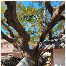 여주쉼표 이미지