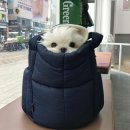 메이플팜 | [후기] 메이플 키우기 모바일, 강남 메이플 아지트 , 강남 사기 수법, 강남 분양 사기 알바, 강남 모델...