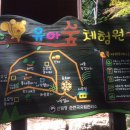 알프스 유아숲체험원 이미지
