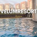 화려한휴식 | 제주도 서귀포 숙소 벨룸리조트 호텔 후기 온수풀 수영장 조식 야외욕조까지 완벽했던 부모님과의 휴식