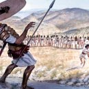 다윗 CO. 이미지