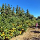 낙천농장 이미지