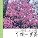 우에노 | 우에노 벚꽃 실시간 후기 | 아메요코 상점가, 먹거리, 쇼핑 코스