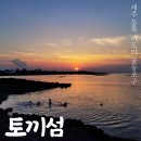 제주 토끼섬 문주란자생지 | 제주 토끼섬 문주란 자생지 하도리 저녁노을