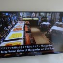 솔라리아 니시테츠 호텔 서울 명동 이미지