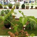 성호초등학교 이미지