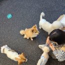 워니시티 이미지