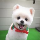 미용하고 가개 이미지