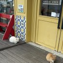 더상상호텔 이미지