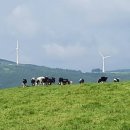 산상목장 이미지