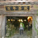 신라의 달밤 이미지