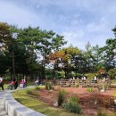 "신림동 202병상·신림로64길" 강남수요양병원, 관악 가족의 퇴근길 상담