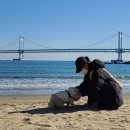 고트래블 이미지