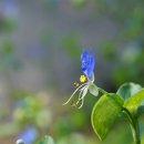 운문골마실길 이미지