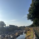 신산리 간이화장실 이미지