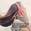 스타키보청기 서비스센터 이미지