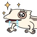 와우펫앤쥬 이미지