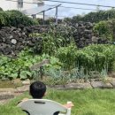 희준농장 이미지