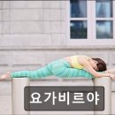 요가비르야 이미지