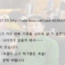 Re:오늘 점심벙개 이미지