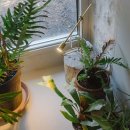 슬로우그로우라이프 이미지