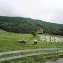 호남목장 이미지