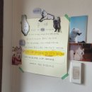 표선리-28 | [JEJU] 제주도 3박4일 혼여행 일정