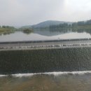 솔비 농장 이미지