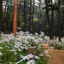 삼문동 문화체육회관 체육관 이미지