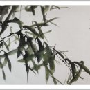 (특강)수묵담채화 이미지