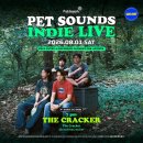 THE 1 | 더 크래커 (The Cracker) 펫 사운즈 공연 (2026. 8. 1.) 후기