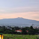 봉자식당 이미지