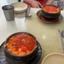 제주시 신해바라기 제주 풍자 또간집 순두부 맛집