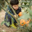 규리 농장 이미지