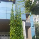 휘경2동 주민센터 이미지