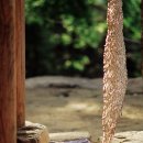 길세탁소 이미지