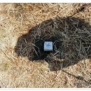 고남민박 이미지