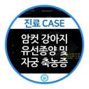 스카이센터