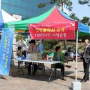 창원 고향의 봄 예술제 네이버블로그