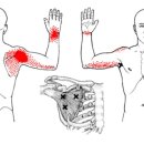 피트니스랩 이미지