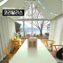 가평 카페 코리달리스ㅣ가평 청평호수뷰 프라이빗 큐브룸 솔직 상세후기