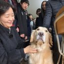 부천부곡중학교 이미지