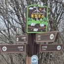 화학산등산로 | 선자령;바람이 분다! 눈 없는 한 겨울이다.